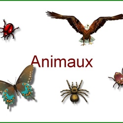 Animaux